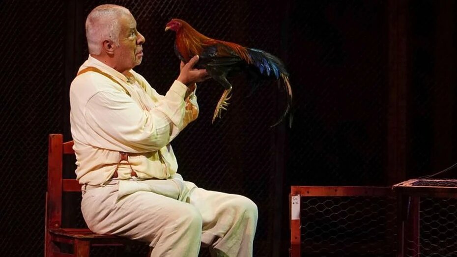    Автор фото: platonovfest.ru