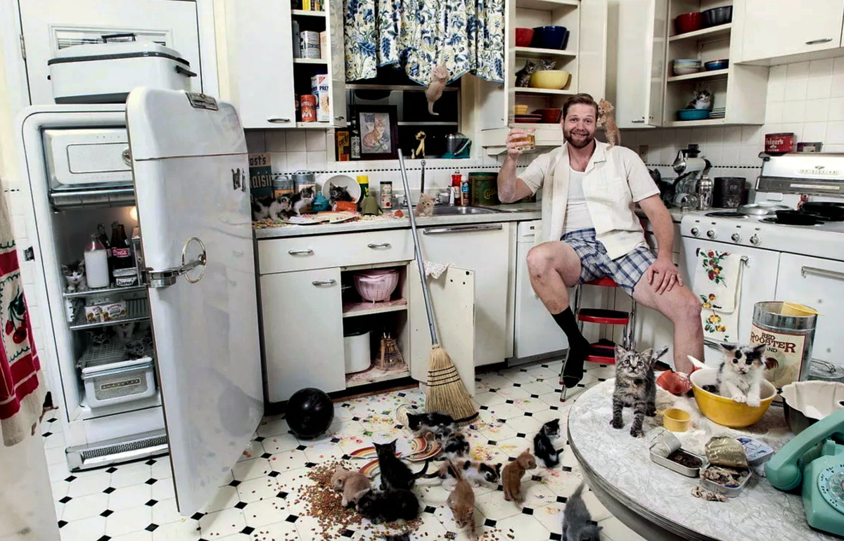 Перспективный холостяк)