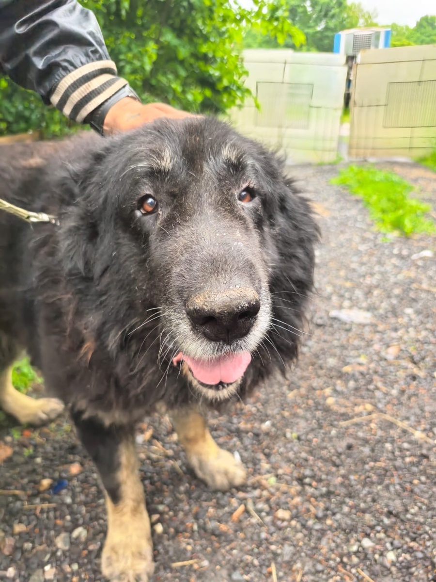 Наш милый Рэй. Его удалось спасти! Но какой ценой…