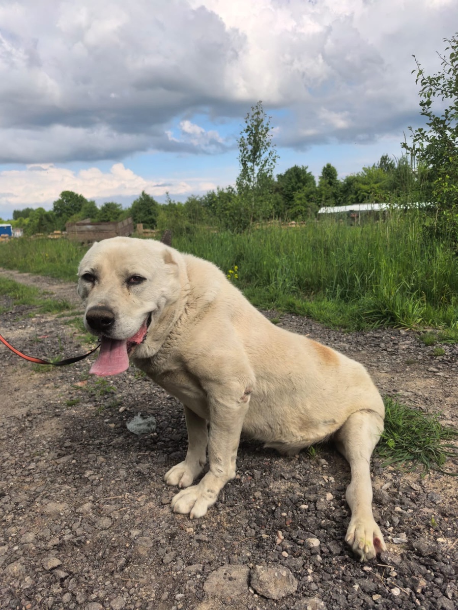 Наш такой большой Малыш