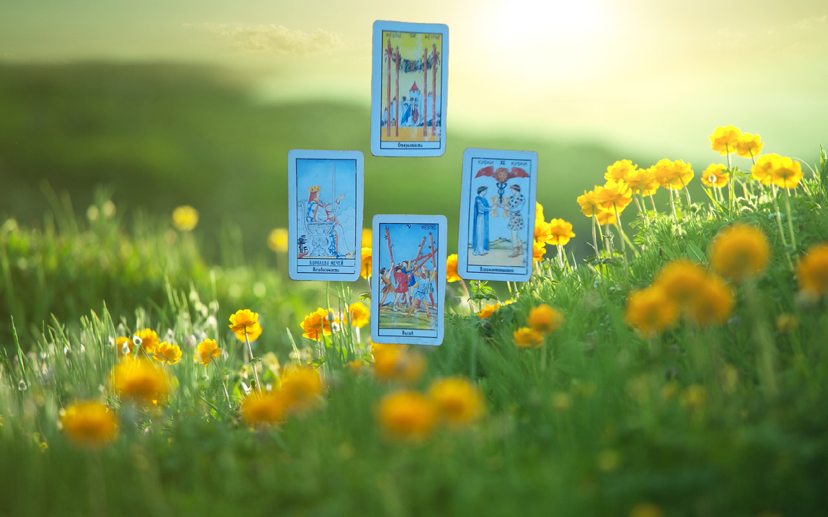 Переходим к описанию!