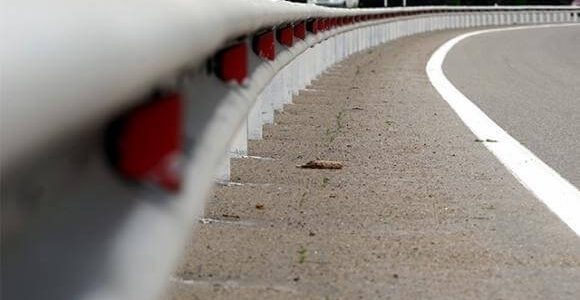    Фото Виктории Перевязко, «Кубань 24»