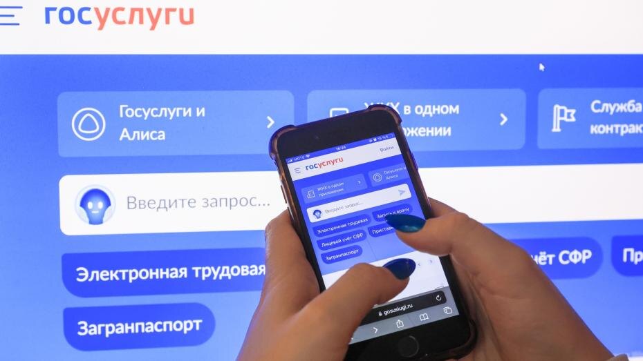    Наталья Шатохина/NEWS.ru