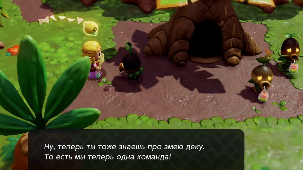 Деку рядом с магазином