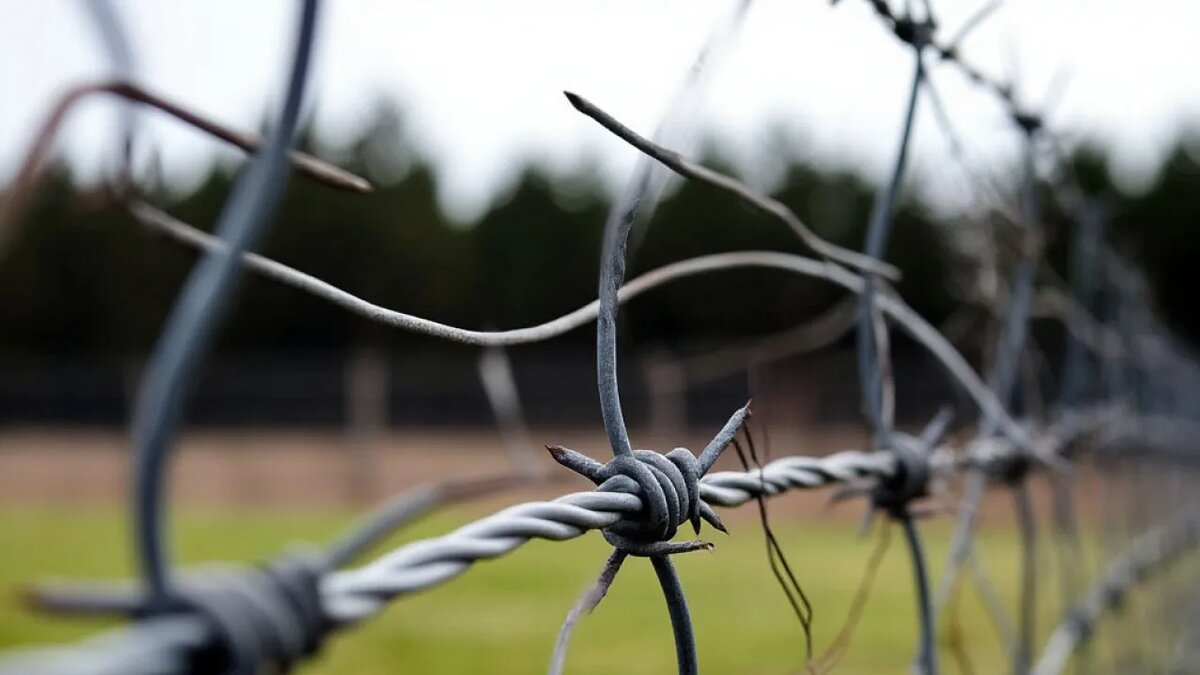    Сгенерировано ИИ