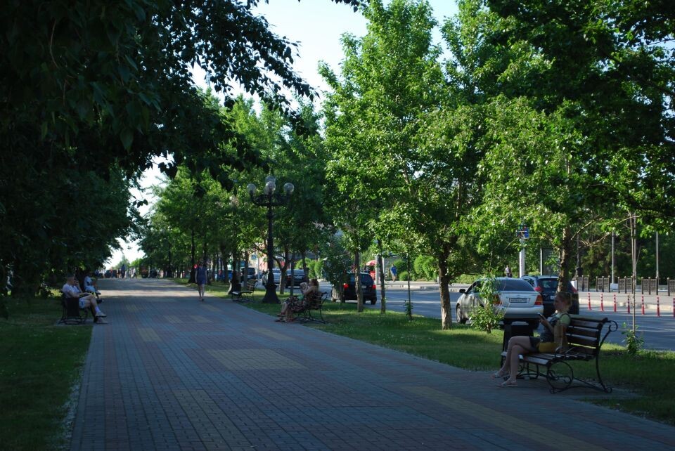    Аномальная жара в Барнауле . Источник: Елизавета Жаринова/"Толк"