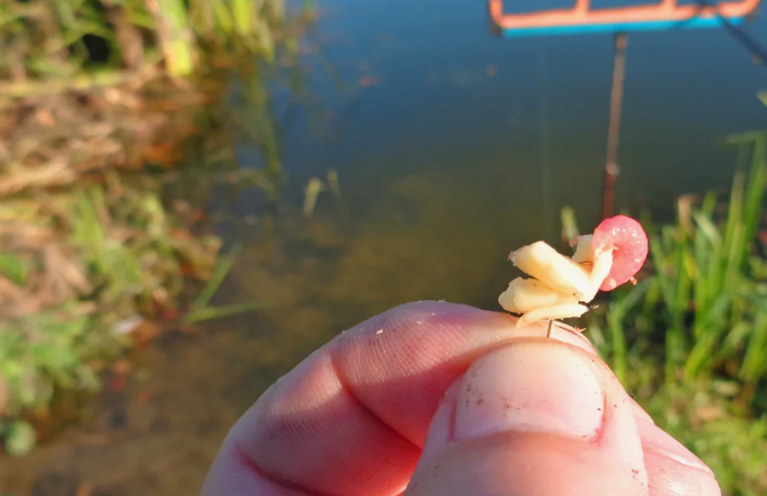 Макароны с опарышем на рыболовном крючке. Источник фото youdrop.ru