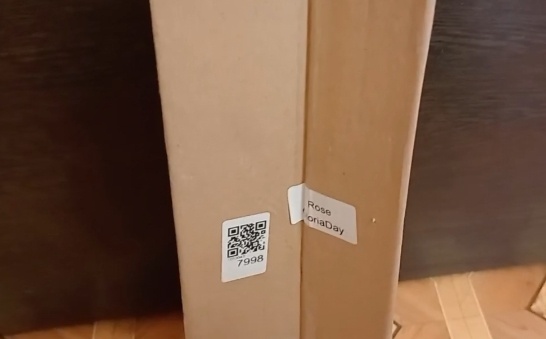 Упаковка саженца розы. Фото автора. Март 2023 года.