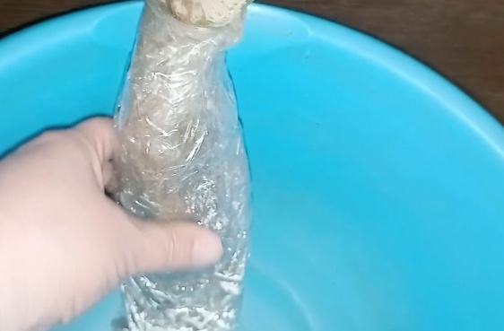 Упаковка саженца розы. Фото автора. Март 2023 года.