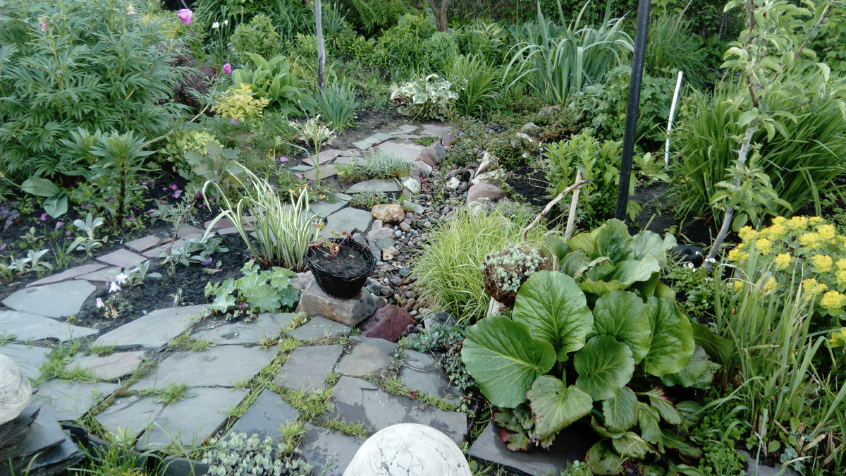 десять лет назад