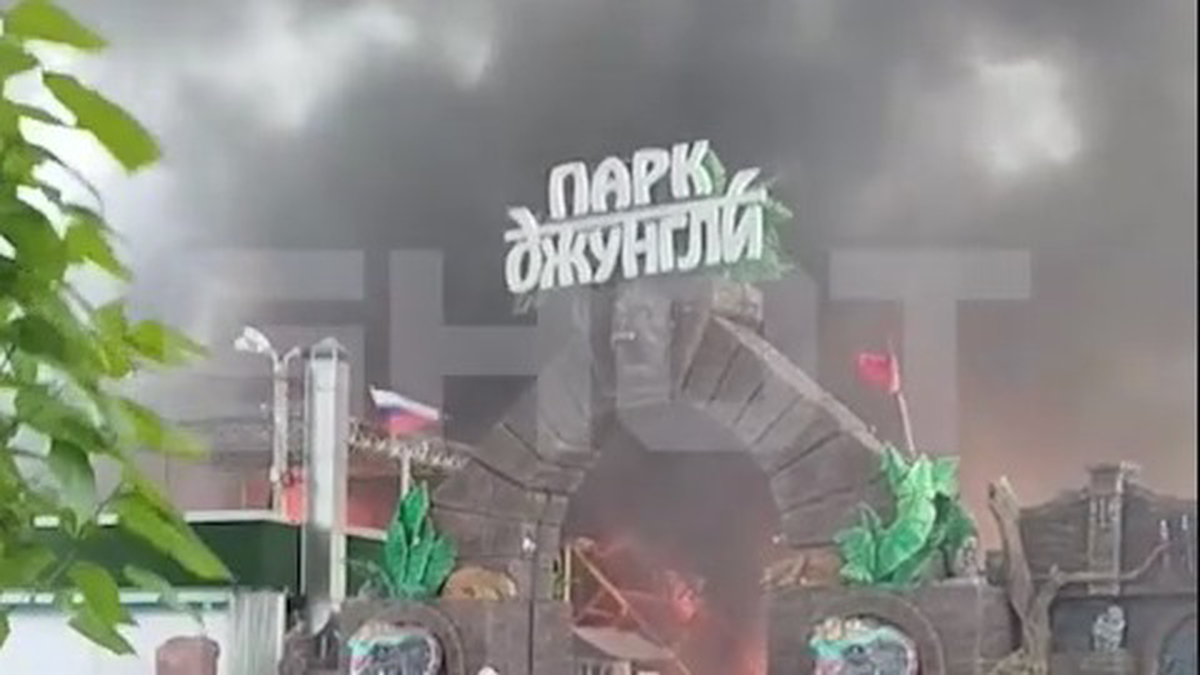    Фото: Telegram/Shot