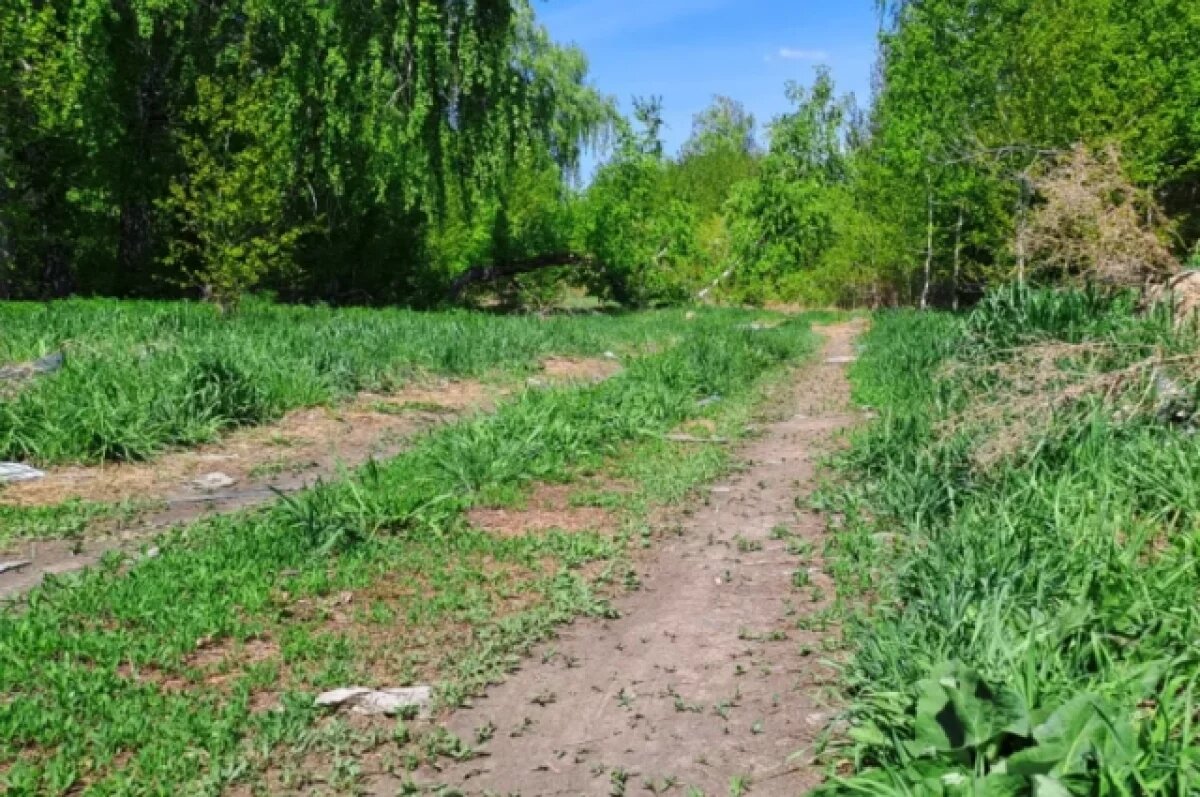    Роспотребнадзор Башкирии предупреждает о риске заражения лептоспирозом