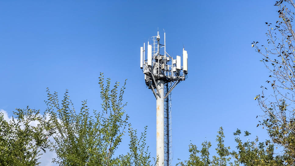 Фото: Игорь Елисеев / Коммерсантъ