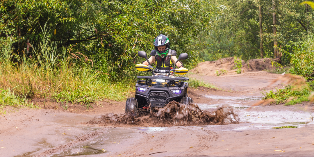 Квадроцикл, багги и мотовездеход: в чём разница и что выбрать?