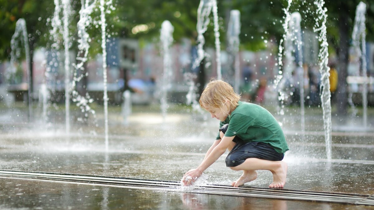    Фото: Maria Sbytova / Shutterstock / Fotodom