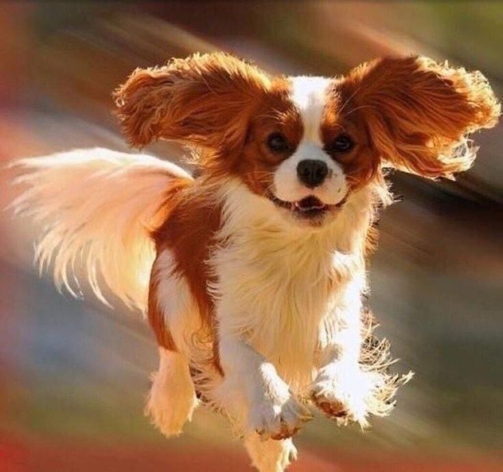 Хорошего настроения!