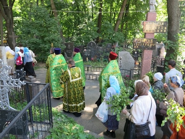 Яндекс Картинки