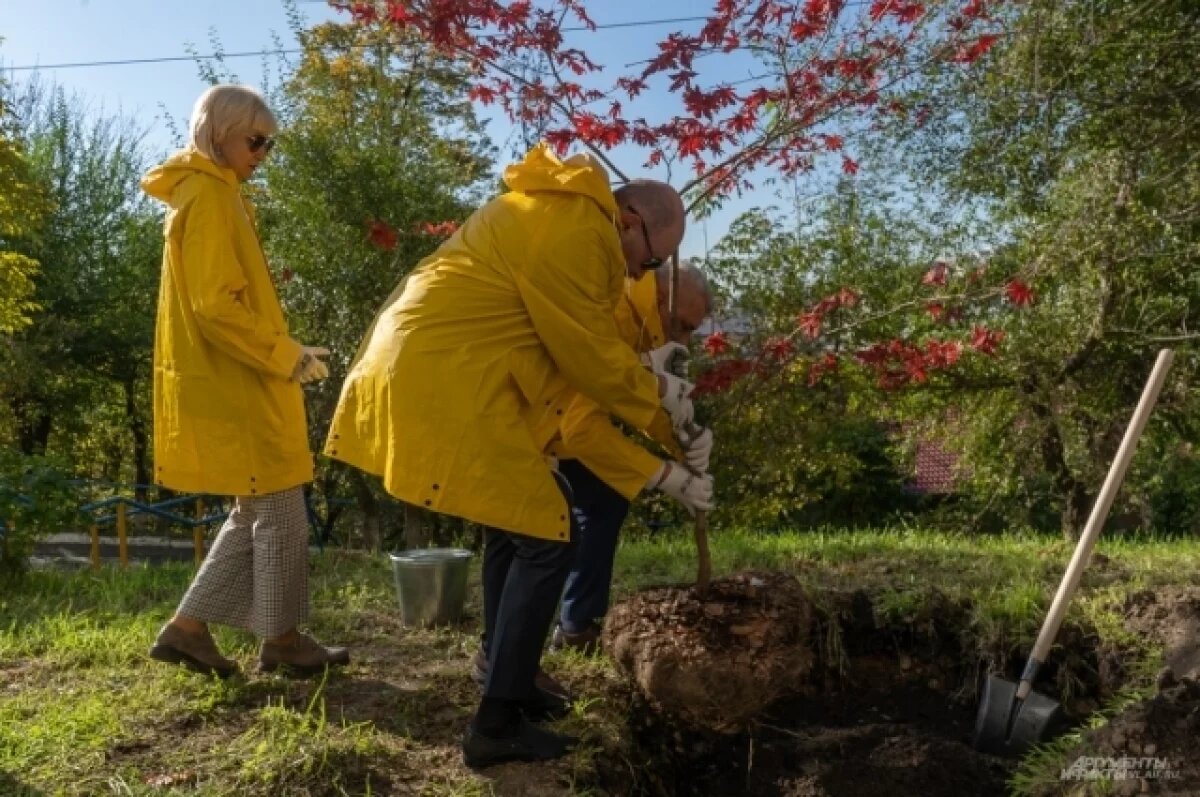    В Салехарде высадили 85 деревьев в рамках экологической акции