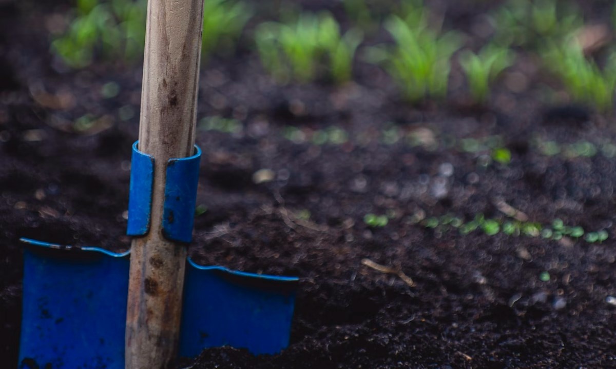    Фото unsplash.com