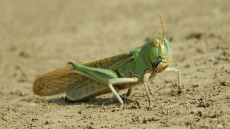      Фото: Юлия Яковенко / / личный архив