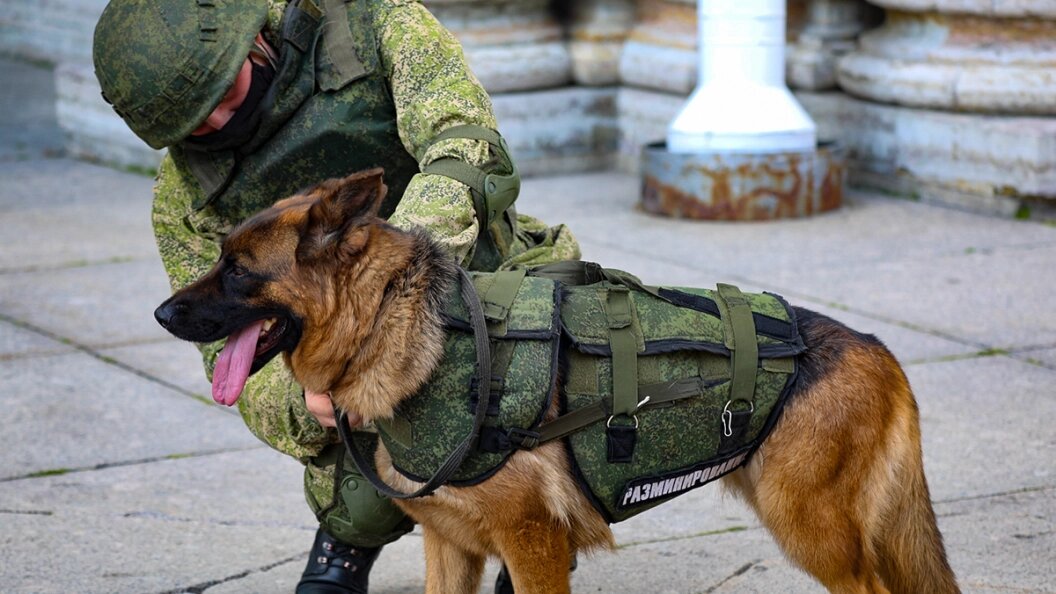    фото: MOD Russia//Globallookpress