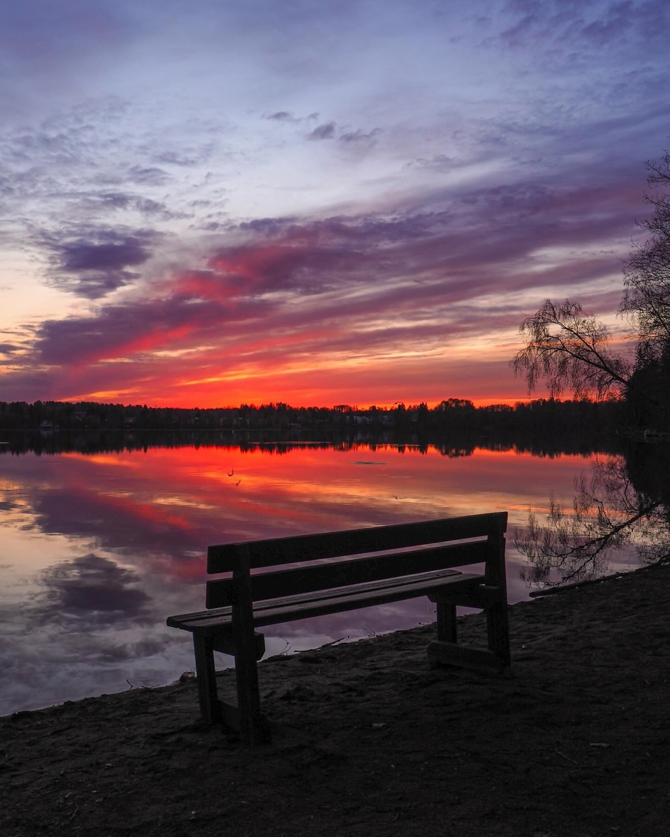 фото из интернета