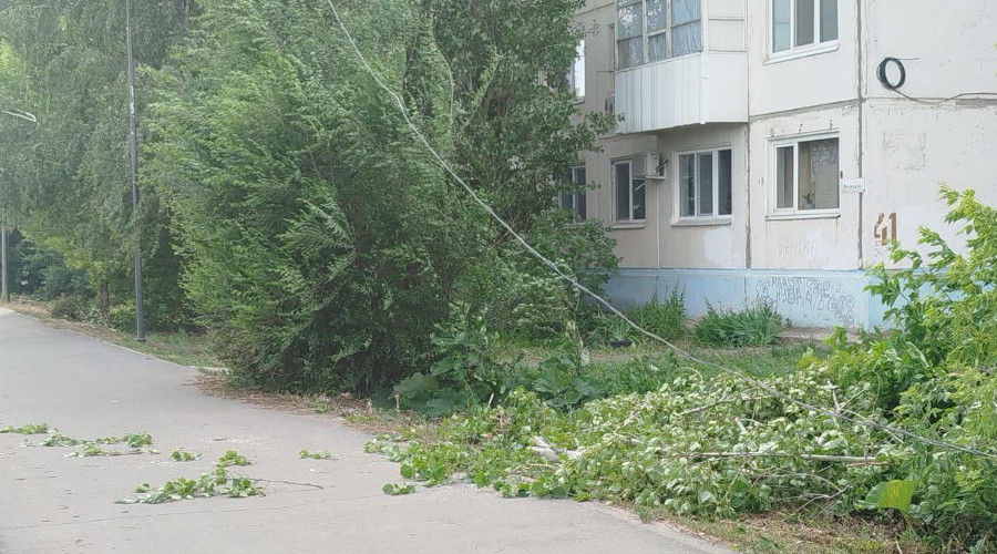    Фото: Администрация БМР