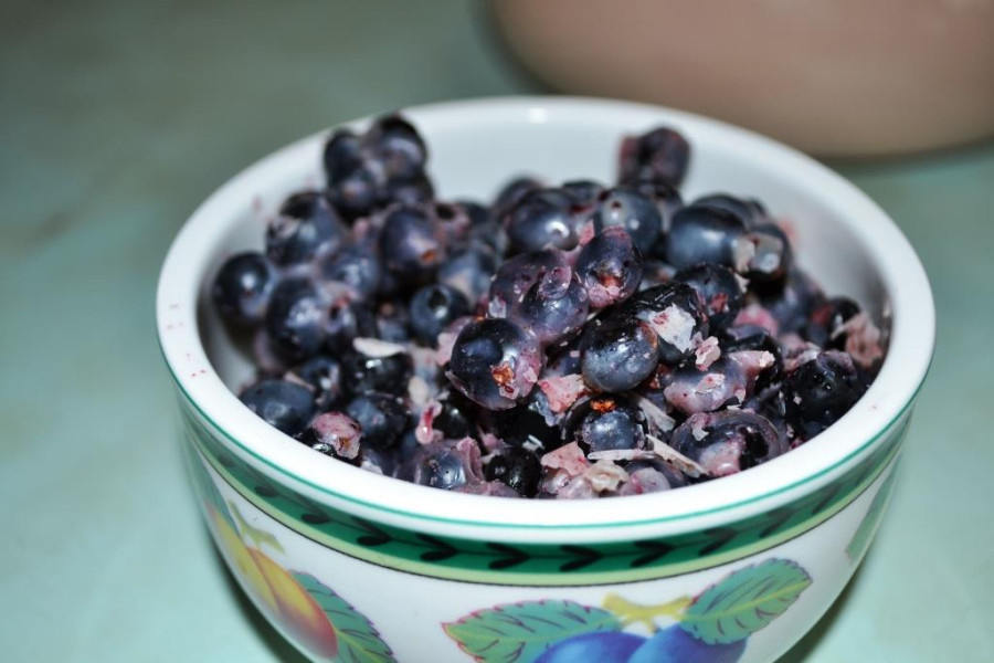 Ягоды вороники в оленьем жире прекрасно сохраняются и добавляют саамской похлебке не только сытость, но и аромат лета (фото авторов)