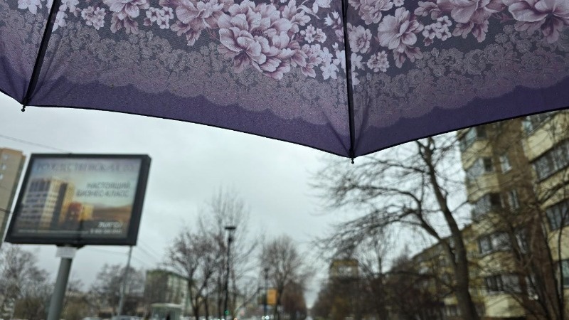      Фото: sakh.online