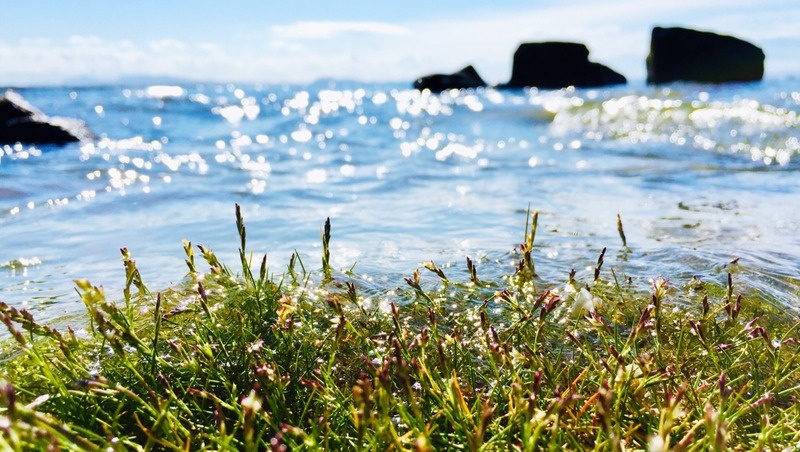     Фото: @EyeEm / freepik.com