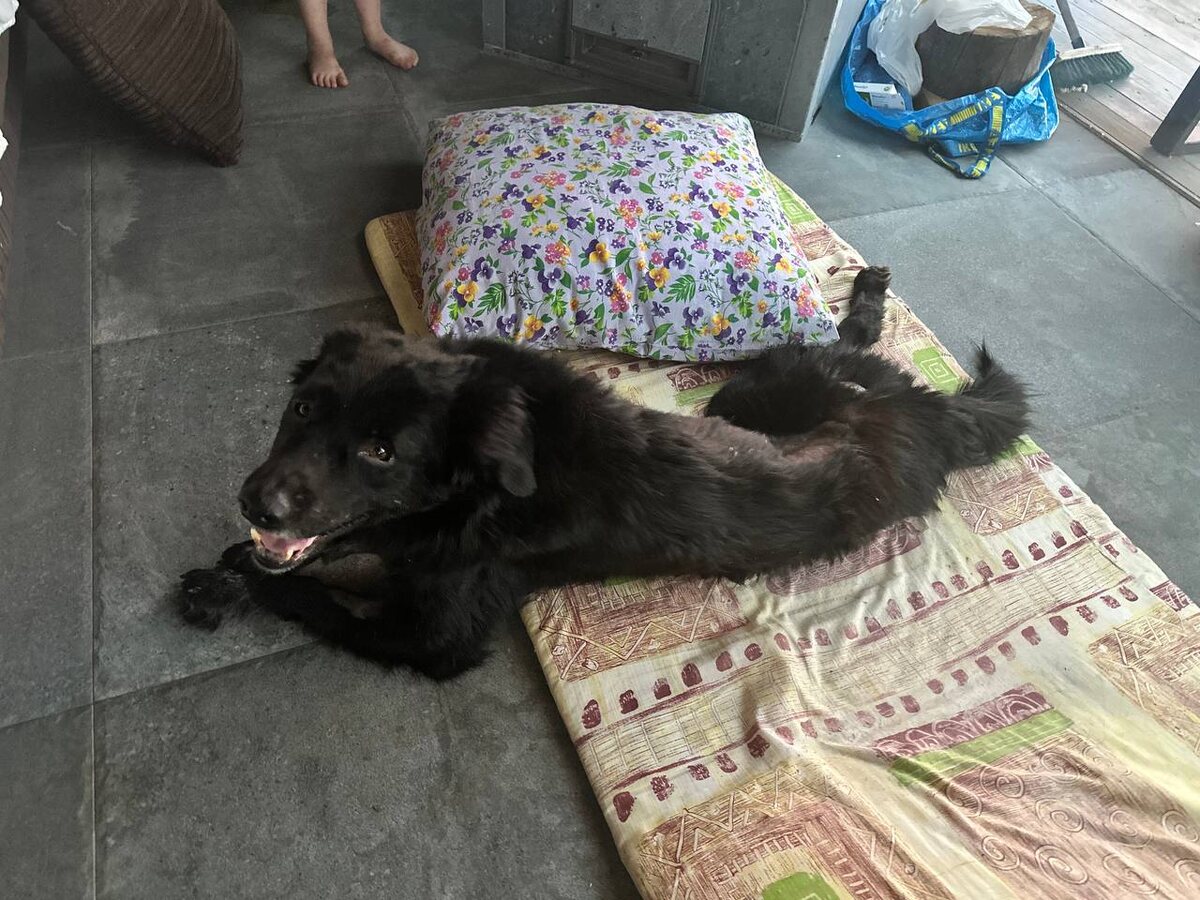 Лежим на грудных!