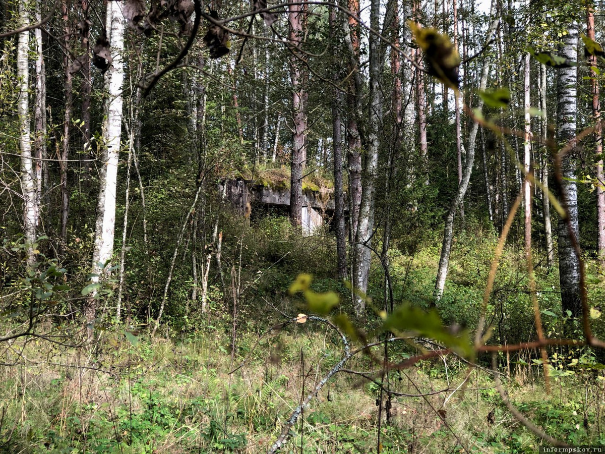 Фото здесь и далее: официальный телеграм-канал Псковской области