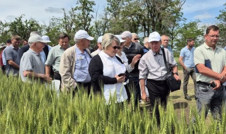     Отечественная селекция доказывает силу российских семян
