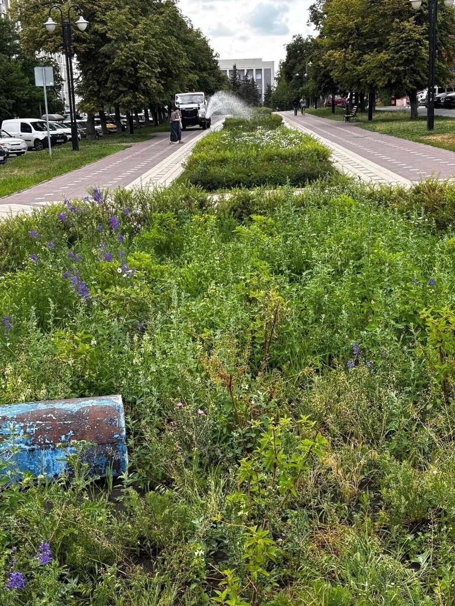     Автор: Владимир Николаевич Источник: комментарии на странице Вячеслава Гладкова