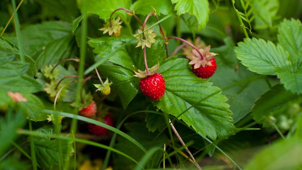    Komsomolskaya Pravda/Global Look Press