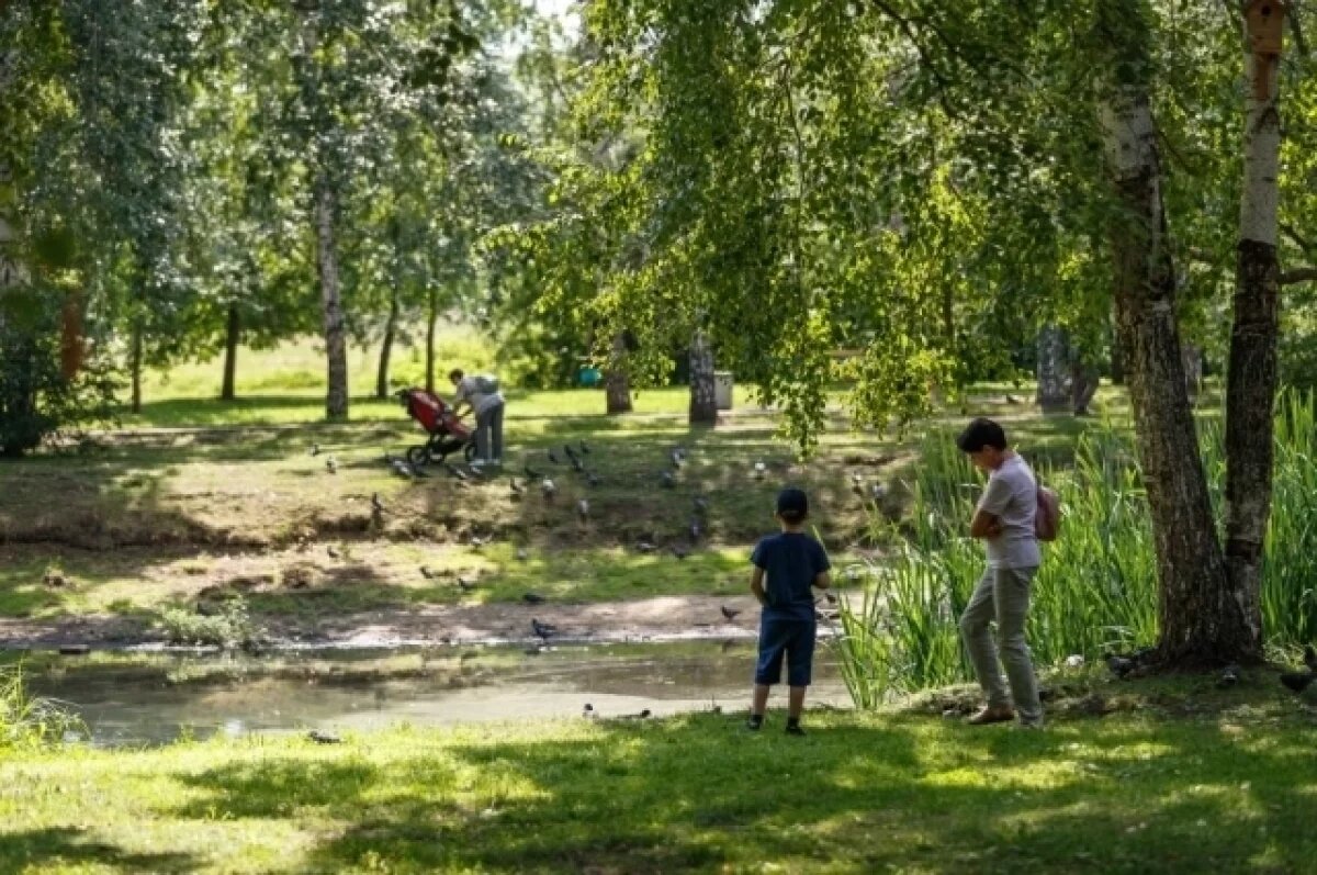    В парке 50-летия ВЛКСМ в Екатеринбурге приступили к работам по обустройству