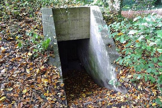    В России обсуждают создание «островков безопасности» в городах из-за угрозы атак ВСУ