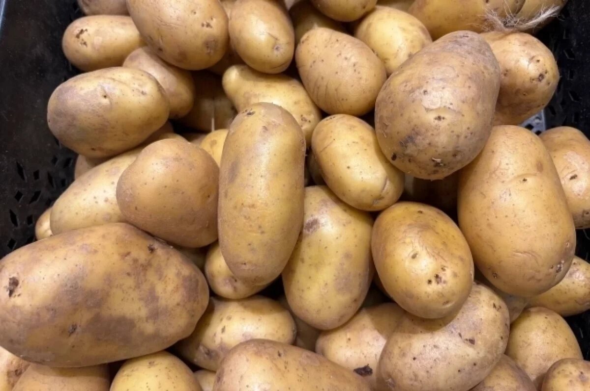    Надымский фермер начал посадку картофельного урожая