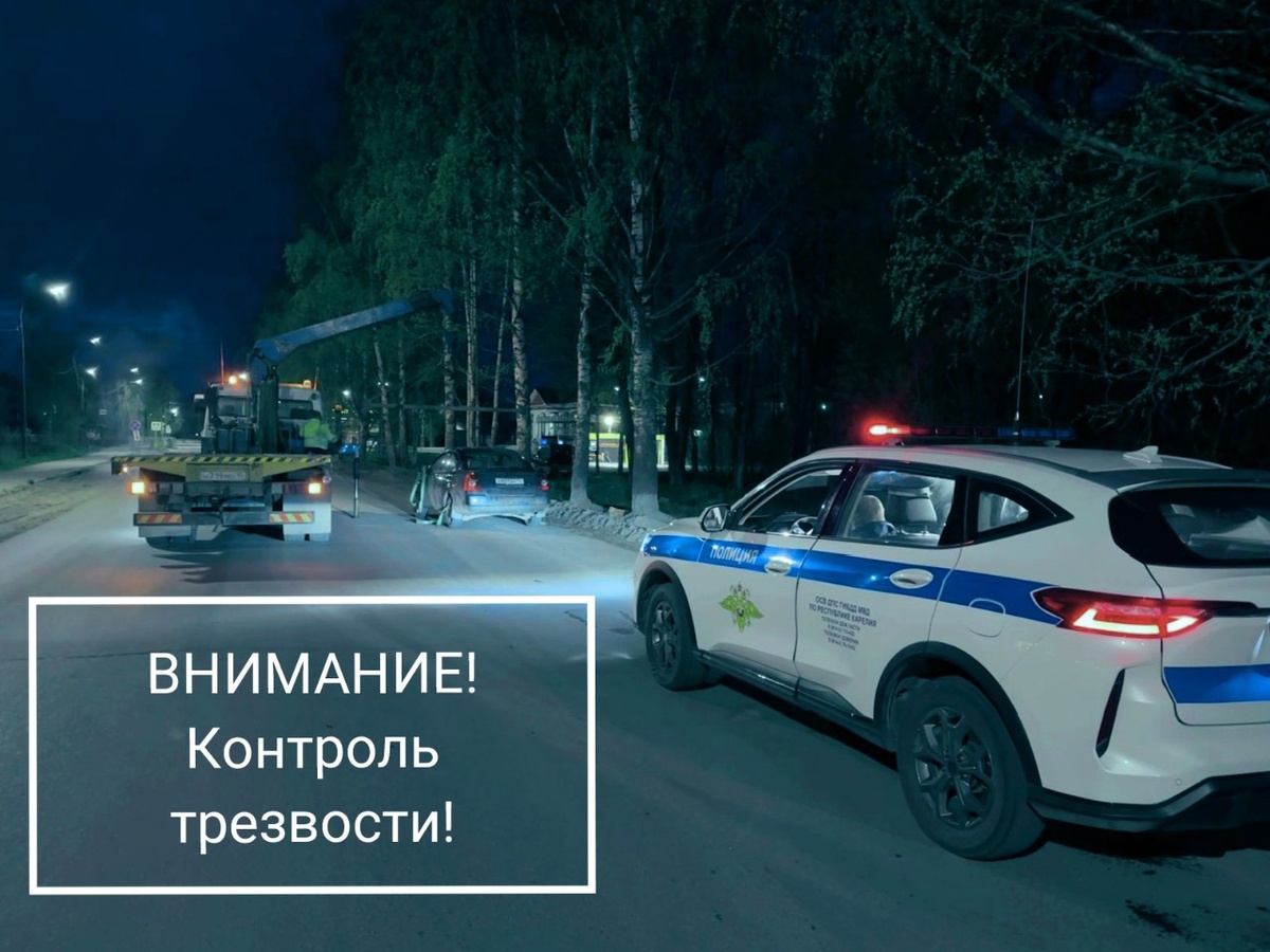    Фото: Госавтоинспекция Карелии / ВК