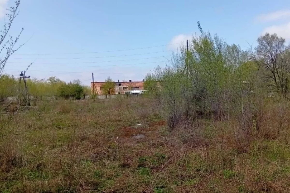    Незаконно приватизированную землю в Красноярском крае вернули государству