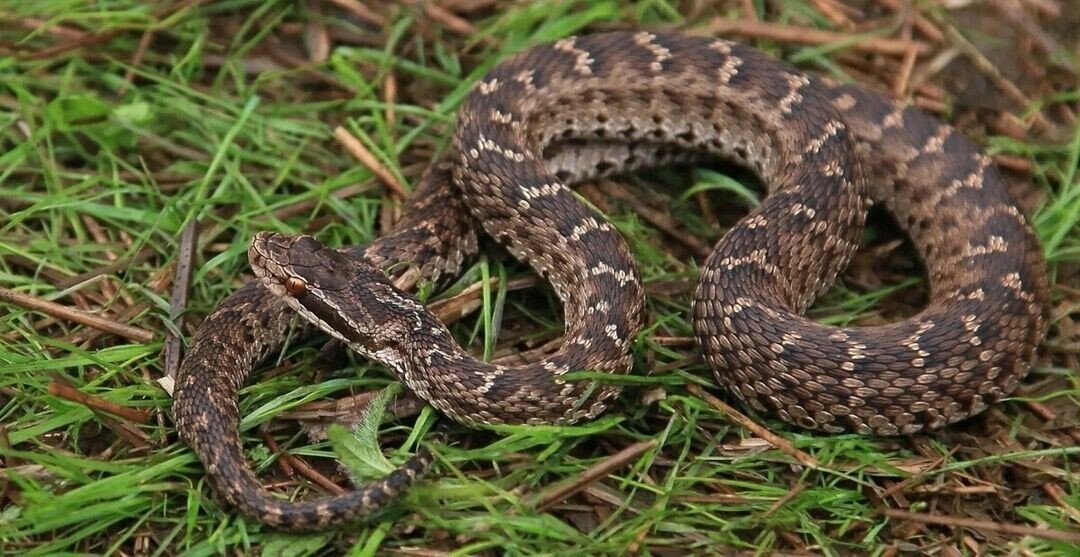     Источник: vk.com/krasspas