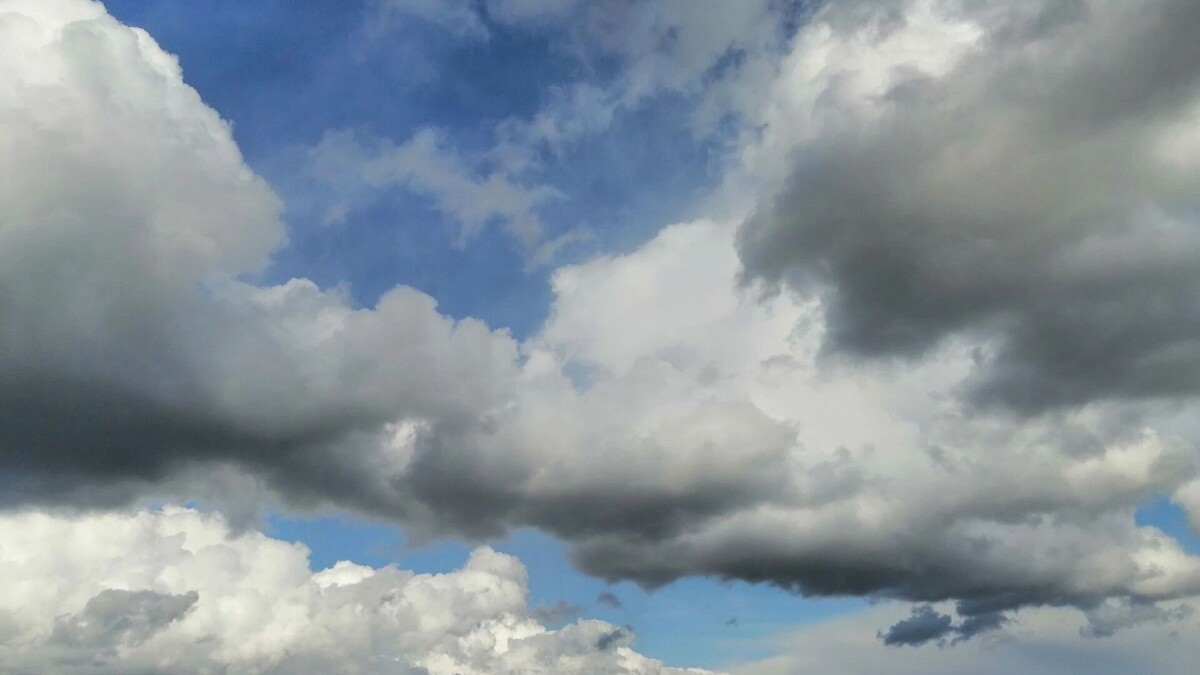     Источник: 1MI