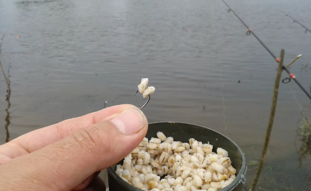 Перловка на рыболовном крючке. Источник фото kasheloff.ru