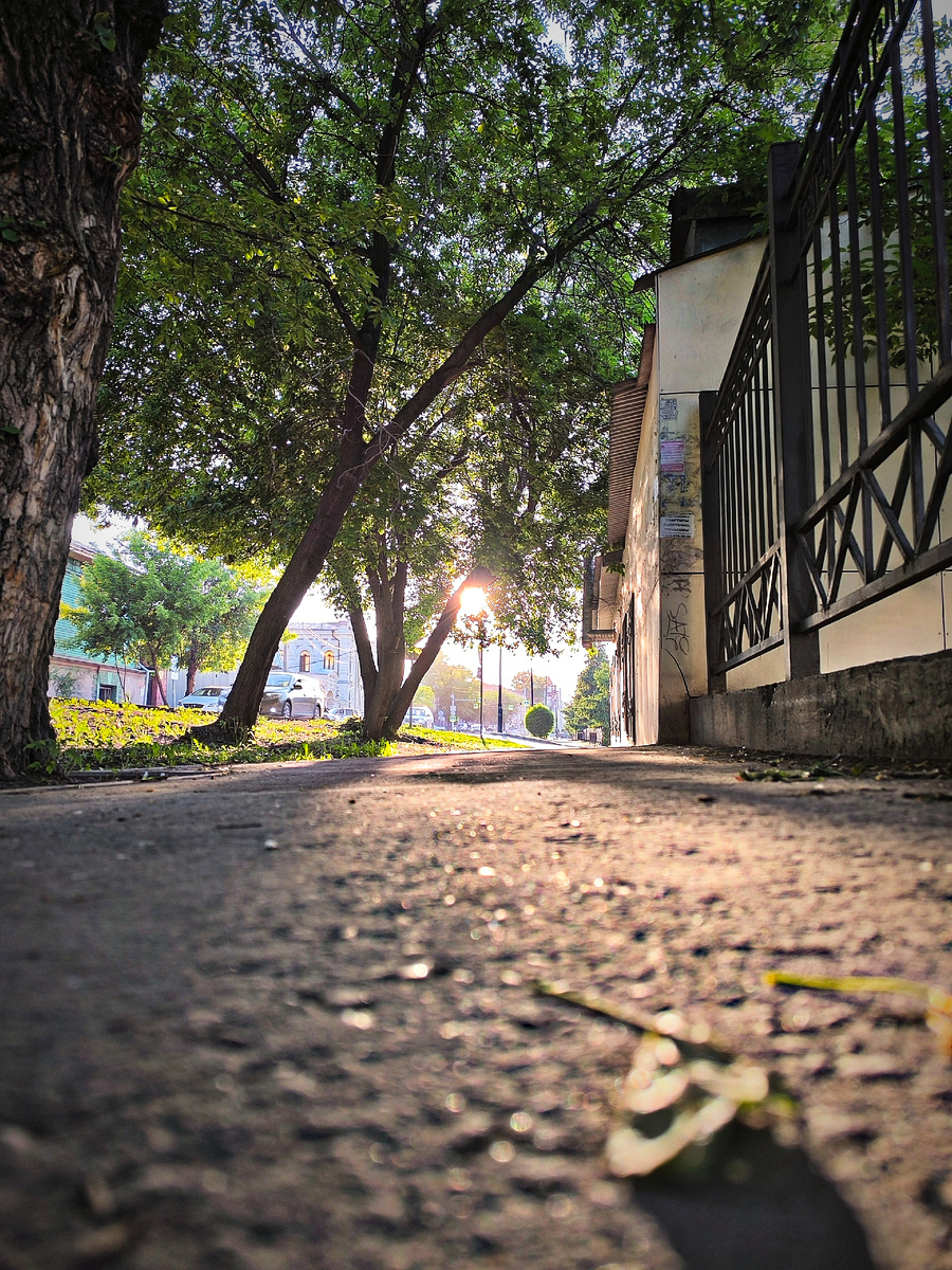 Перспектива лета