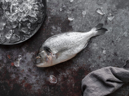    незаконная рыба // фото: Изображение от freepik на Freepik