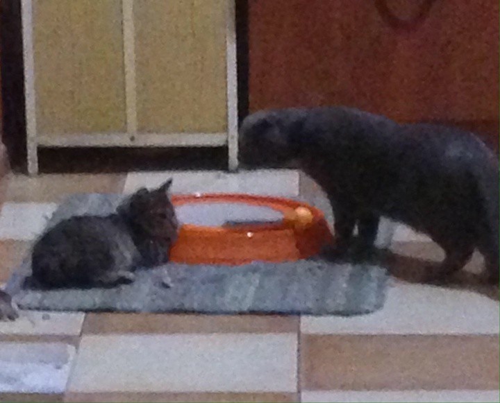 - Я буду хорошей, не прогоняй меня, пожалуйста.