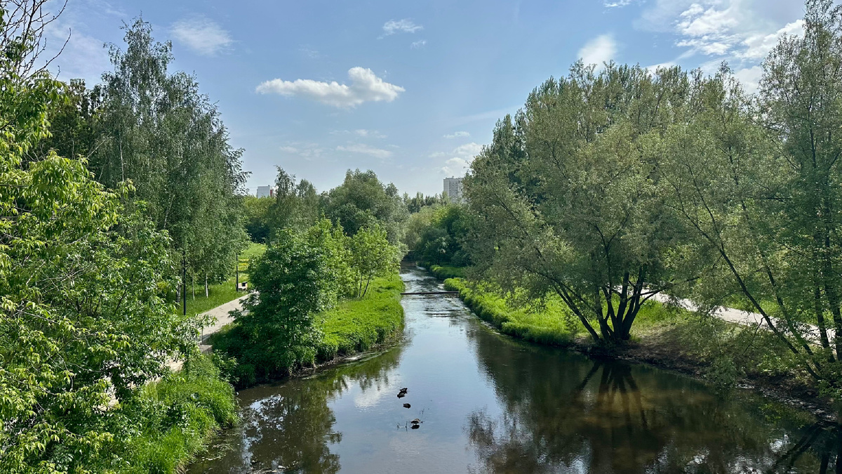 сквер по Олонецкому проезду