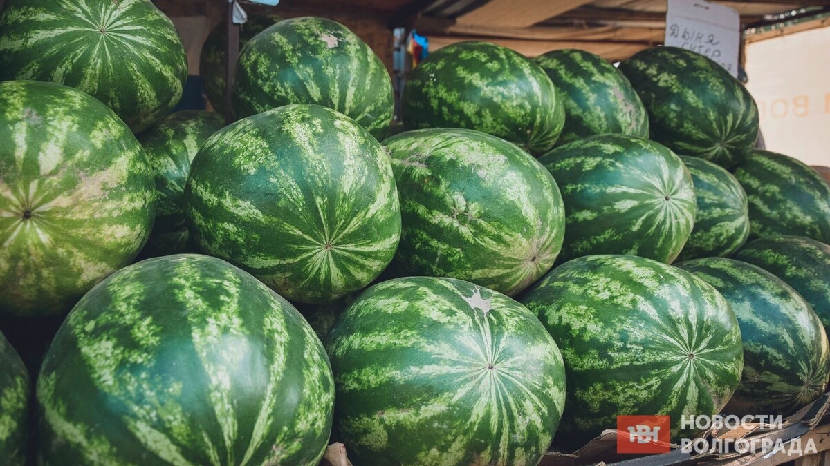     Источник: novostivolgograda.ru