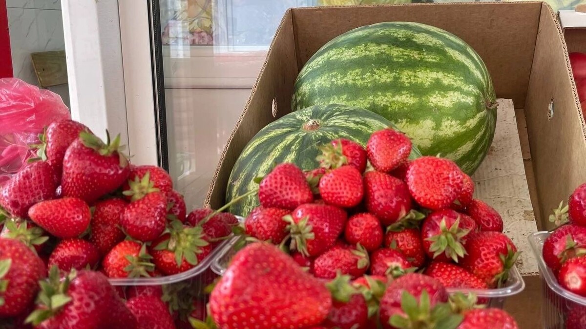     Источник: novostivolgograda.ru