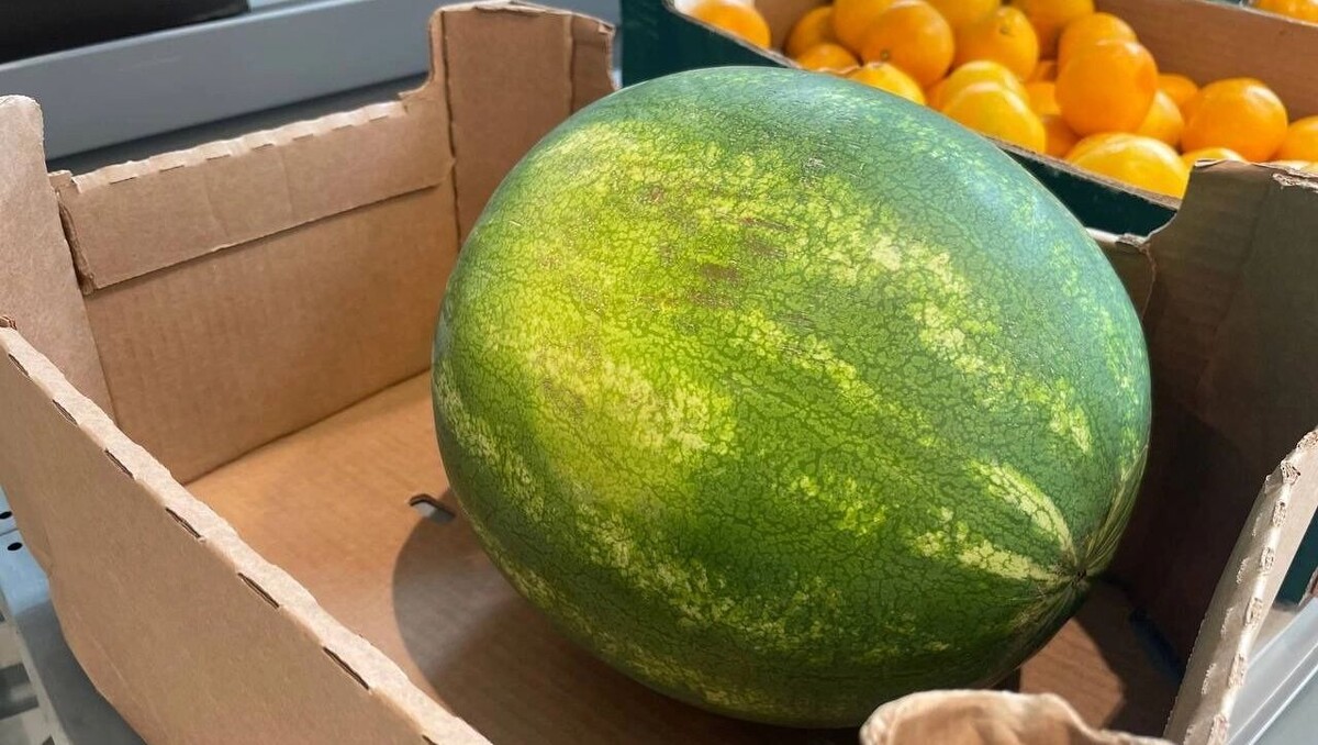     Источник: novostivolgograda.ru